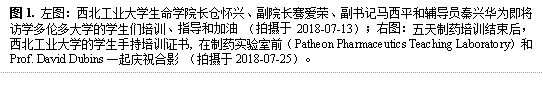 图1. 左图：bat365官方网站登录入口长仓怀兴、副院长骞爱荣、副书记马西平和辅导员秦兴华为即将访学多伦多大学的学生们培训、指导和加油 （拍摄于2018-07-13）；右图：五天制药培训结束后，bat365官方网站登录入口的学生手持培训证书, 在制药实验室前（Patheon Pharmaceutics Teaching Laboratory）和Prof. David Dubins一起庆祝合影 （拍摄于2018-07-25）。
